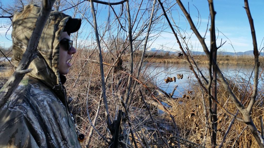 35effc8d-28f6-46cf-9e43-3afd1efa3f56