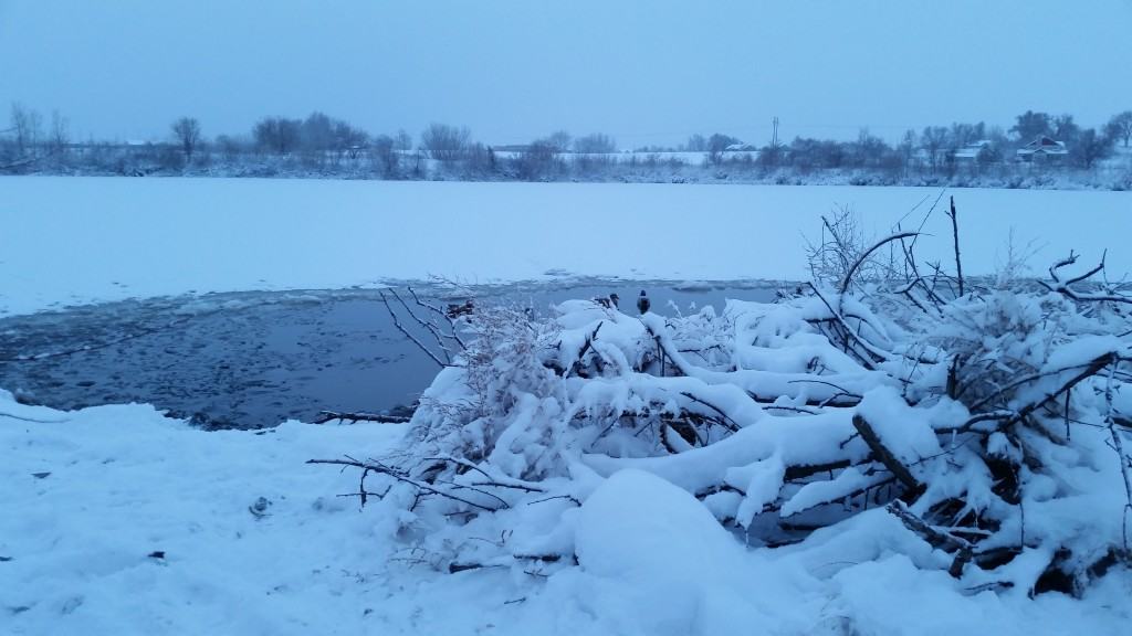 c6da098f-1ef3-4067-b6f3-27971441b4a2