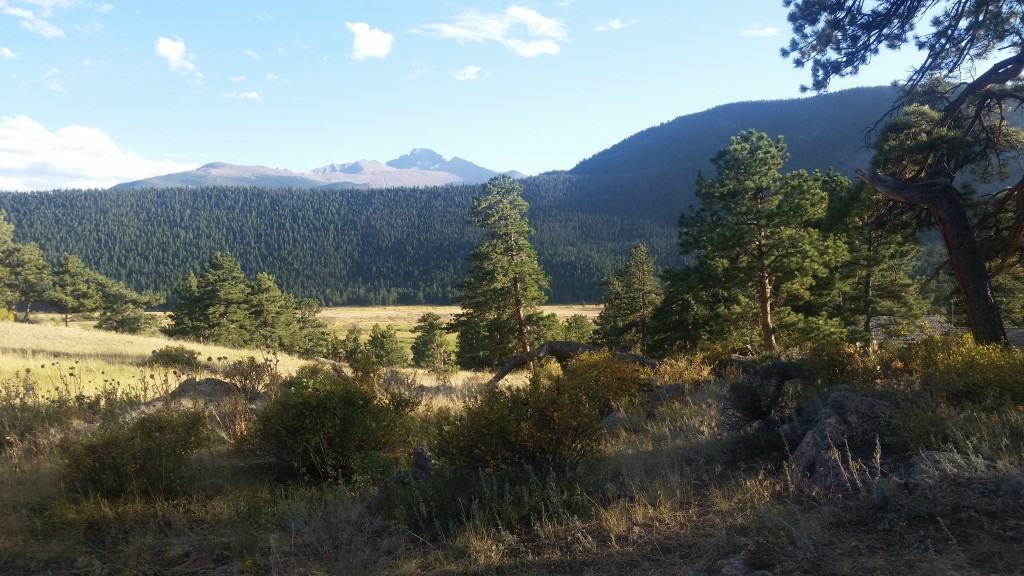 RNMP Camping 2015